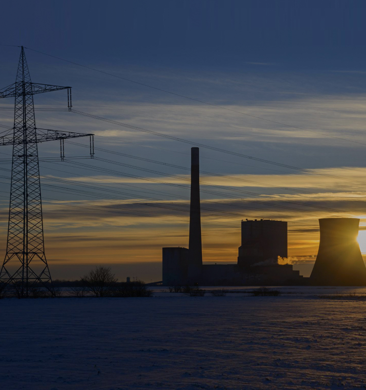 Frequency Regulation Applications for Thermal Power Plants