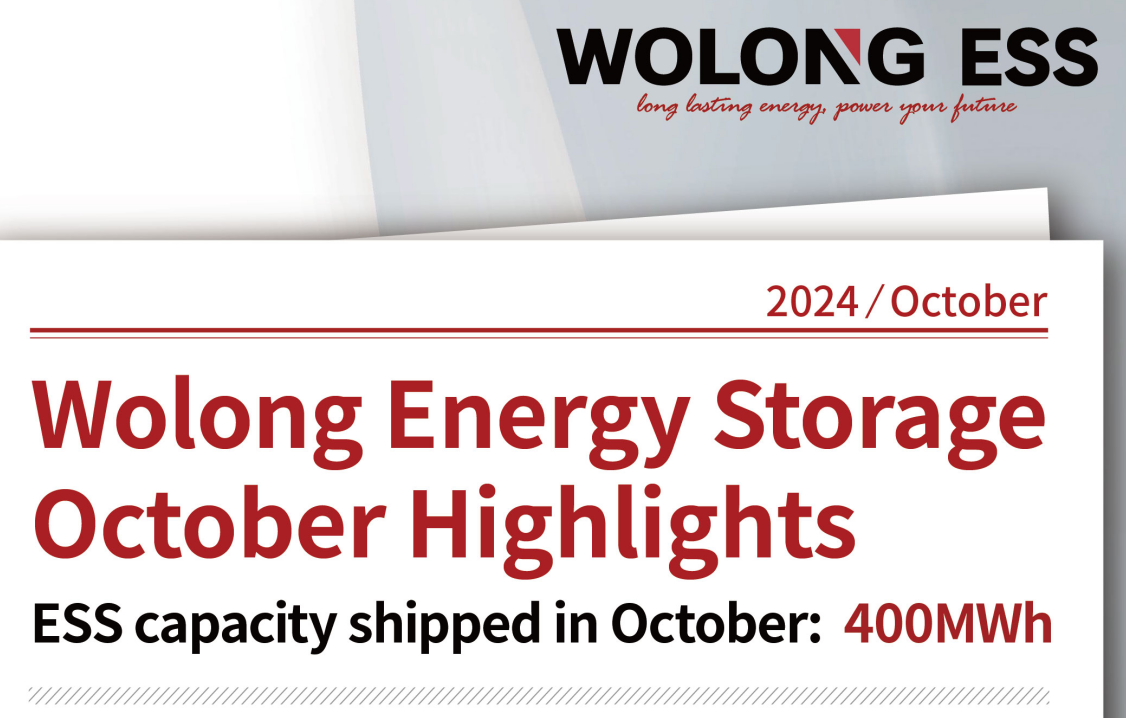 Wolong Energy Storage October Highlights