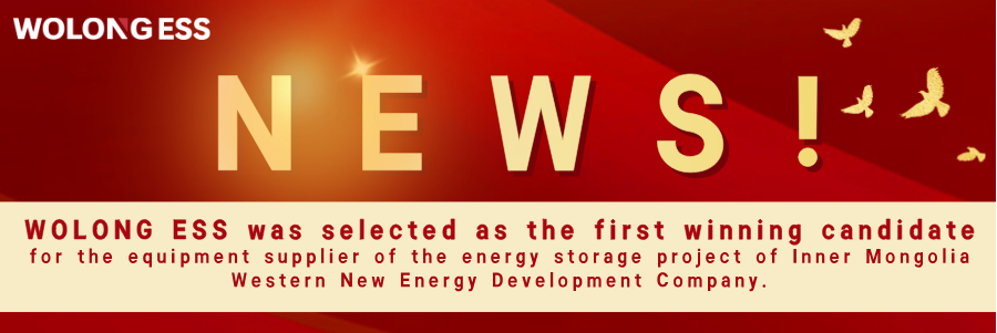 Good news! WOLONG ESS has won the bid for Inner Mongolia New Energy project and won EESIA excellence certification