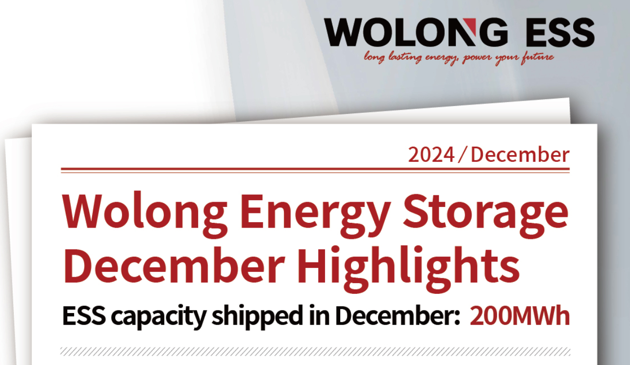 Wolong Energy Storage December Highlights